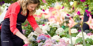 Antalya çiçekçi (14)