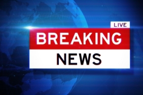 Günün habercisi (3)