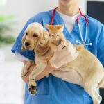 Gebze Veteriner, Tuzla Veteriner ve Şekerpınar Veteriner