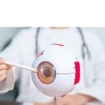 Aşırı Güneş Sarı Nokta Hastalığına Davetiye Çıkarıyor