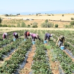baskan-altay-tarimin-her-alaninda-ureticimizin-yaninda-olmaya-devam-edecegiz.jpg