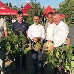 baskan-buyukakin-izmitte-uzum-hasadina-katildi.jpg
