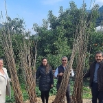 buyuksehirden-dut-fidani-destegi.jpg