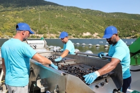 carrefoursadan-mavi-ekonomi-ile-surdurulebilir-deniz-urunleri-atagi.jpg