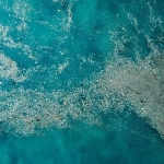 dogayla-uyumlu-yasamaliyiz-plastik-kirliligine-son-ver-yasami-koru.jpg