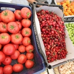 Efes Tarlası Yaşam Köyü’nde Üretici Pazarı 19 Ekim’de kapılarını açıyor