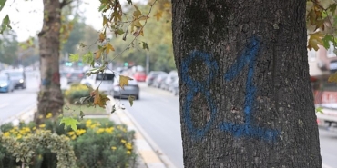 Eyüpsultan-Bayrampaşa Tramvayı’nda Çalışmalar Hızlandı