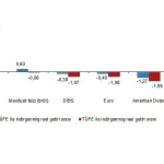 Finansal Yatırım Araçlarının Reel Getiri Oranları, Eylül 2025