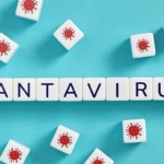 hantavirusun-insandan-insana-yayilim-riski-dusuk.jpg
