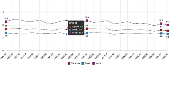 İşgücü İstatistikleri, Ağustos 2026