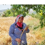 Kadın Emeğini Değerlendirme Vakfı (KEDV), deprem bölgesinde ‘Temiz Ekmek Projesi’ni başlatıyor.
