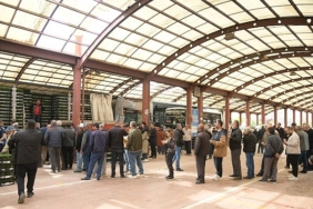 kahramankazanli-ciftcilere-fide-destegi-verildi.jpg