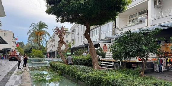 Kemer Liman Caddesi’nde kış öncesi bakım çalışması