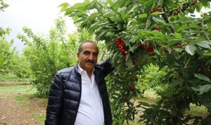 kiraz-hasat-senligine-gencler-enerji-katti-App2KgmE.jpg