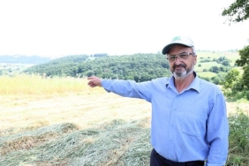 kocaelide-sut-otu-hasadi-basladi.jpg