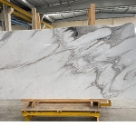 Latin Amerika Açılımında Yeni Adım: Türk Firmaları Meksika Yolunda