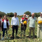 meshur-cesme-kavununda-hasat-zamani.jpg