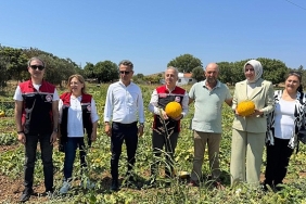 meshur-cesme-kavununda-hasat-zamani.jpg