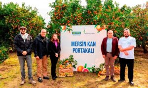 metro-turkiye-cografi-isaret-tesciline-aday-mersin-kan-portakalinin-izinde-ylJ2UnSf.jpg