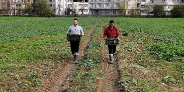 osmangazi-belediyesi-dogal-uretimle-sofralara-saglik-sunuyor.jpg