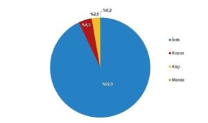 tuik-cig-sut-uretimi-2023-yilinda-04-azalarak-21-milyon-481-bin-567-ton-XKqVC7NF.jpg