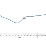 Tüik: Tüketici fiyat endeksi (TÜFE) yıllık %51,97, aylık %2,47 arttı