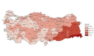 tuik-yuksekogretim-mezunlarinin-orani-25-yas-ve-uzeri-nufusta-246-oldu-1yj4TLCk.jpg