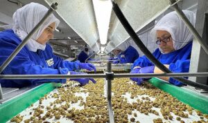 turkiye-organik-urun-ihracatinda-1-milyar-dolar-sinirini-asti-yeni-ihracat-hedefi-2-milyar-pHQLcYDK.jpg