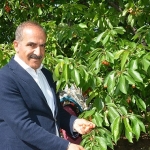 ucak-don-kirazi-kiraz-ihracati-vurdu.jpg
