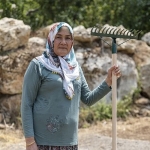yenisehir-belediyesinin-destegiyle-safran-ureticisi-sayisi-artiyor.jpg