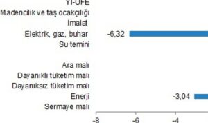 yurt-ici-uretici-fiyat-endeksi-ocak-2024-d6biK6qp.jpg